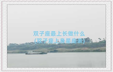 双子座最上长做什么(双子座上身星座表)