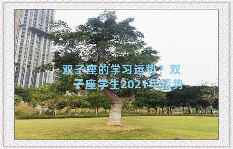 双子座的学习运势？双子座学生2021年运势