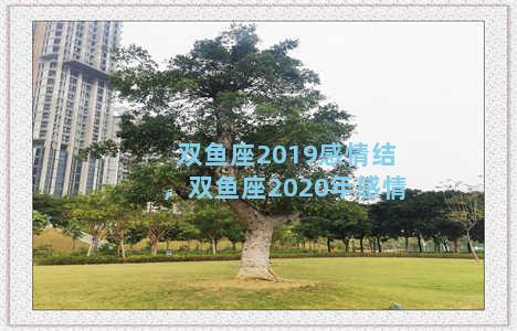 双鱼座2019感情结，双鱼座2020年感情