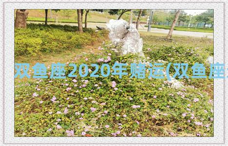 双鱼座2020年赌运(双鱼座运势2020年)