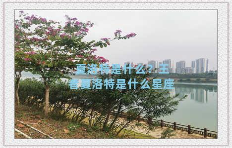 夏洛特是什么？王者夏洛特是什么星座