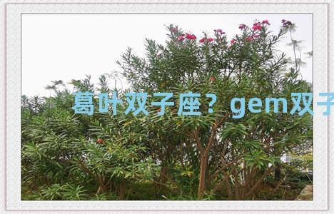 葛叶双子座？gem双子座